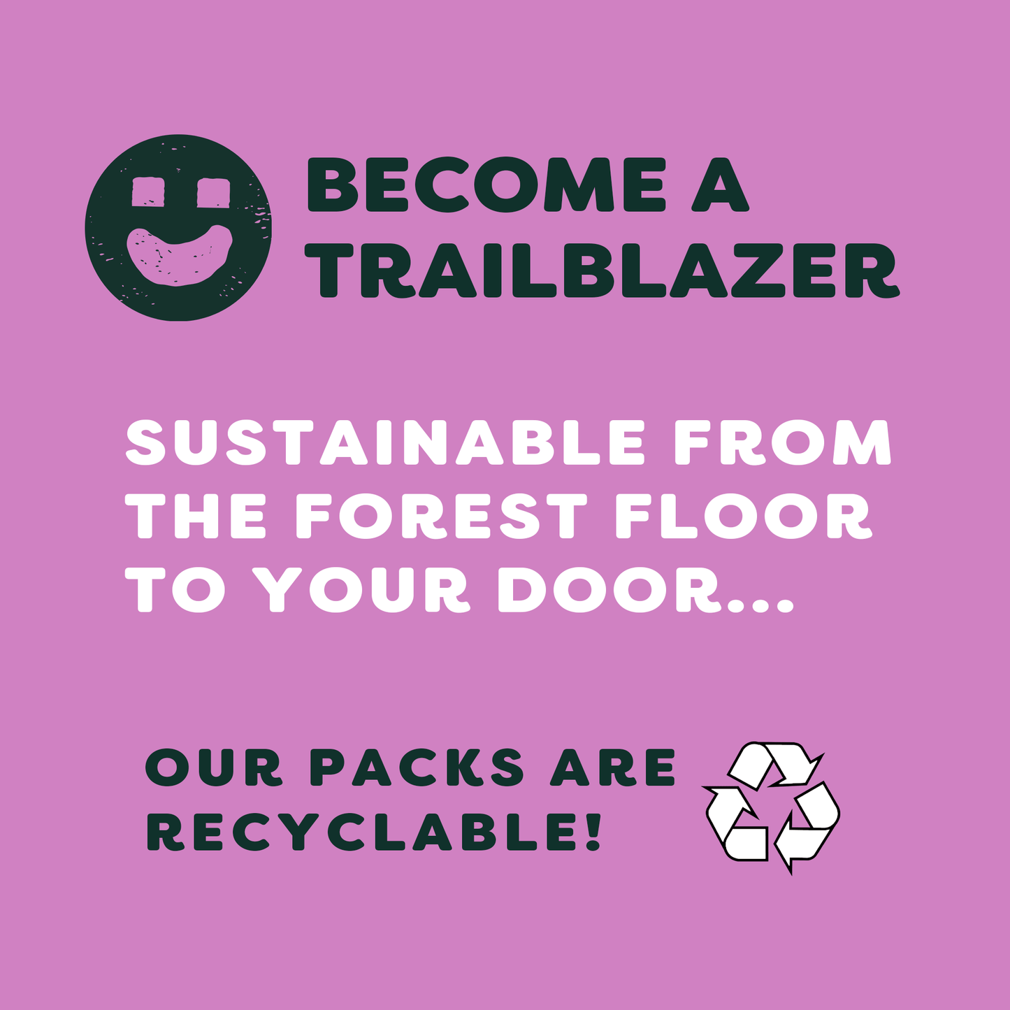 BRAZIL NUTS - Dark Chocolate